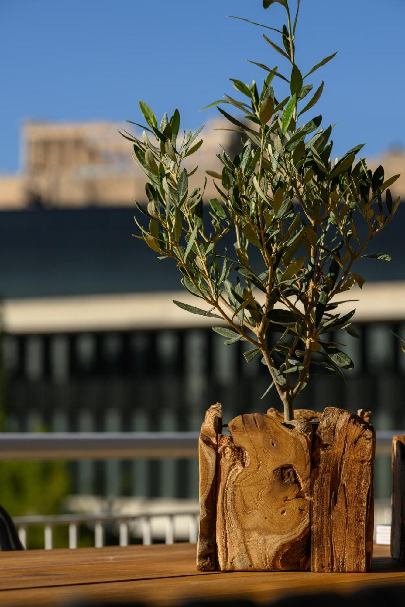 Acropolis View Deluxe Penthouse & Luxury Apartments Athen Rom bilde